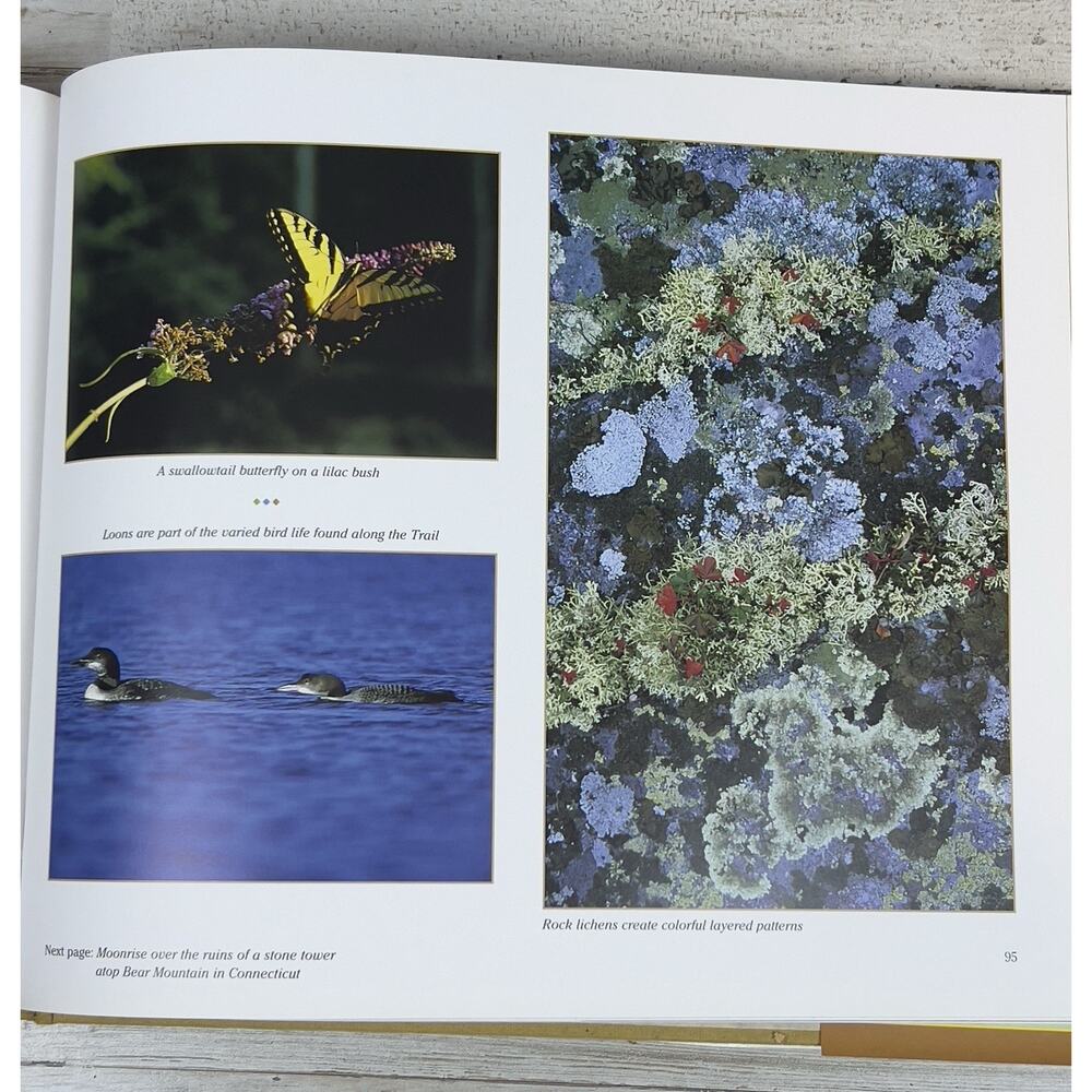 The Appalachian Trail : Calling Me Back to the Hills Hardcover - Picture 3 of 7